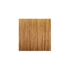 ARGAN OIL Hochentwickelte Haarcoloration Ash Light Blonde / Hellblond Asch 8.1