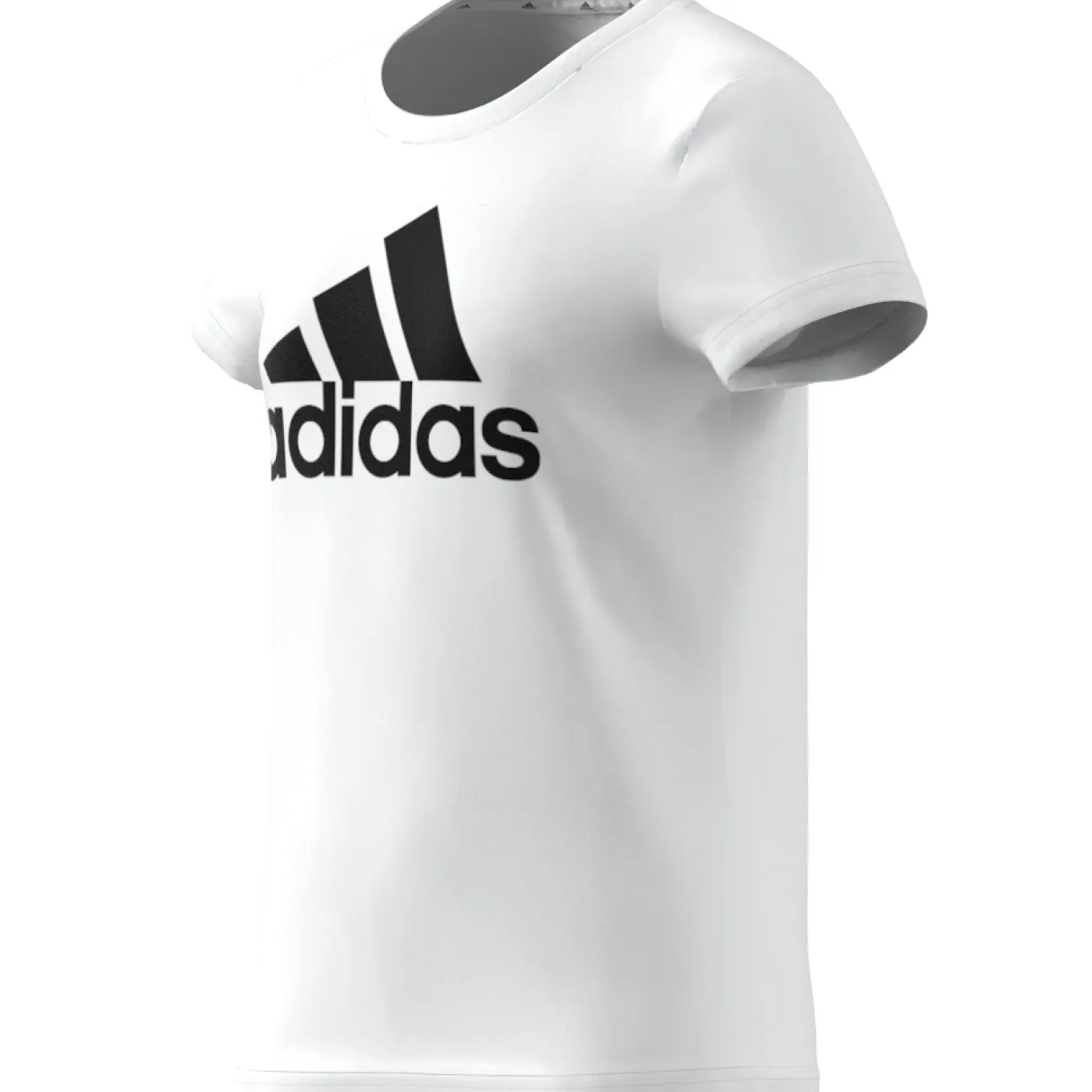 Essentials Big Logo Cotton T-Shirt