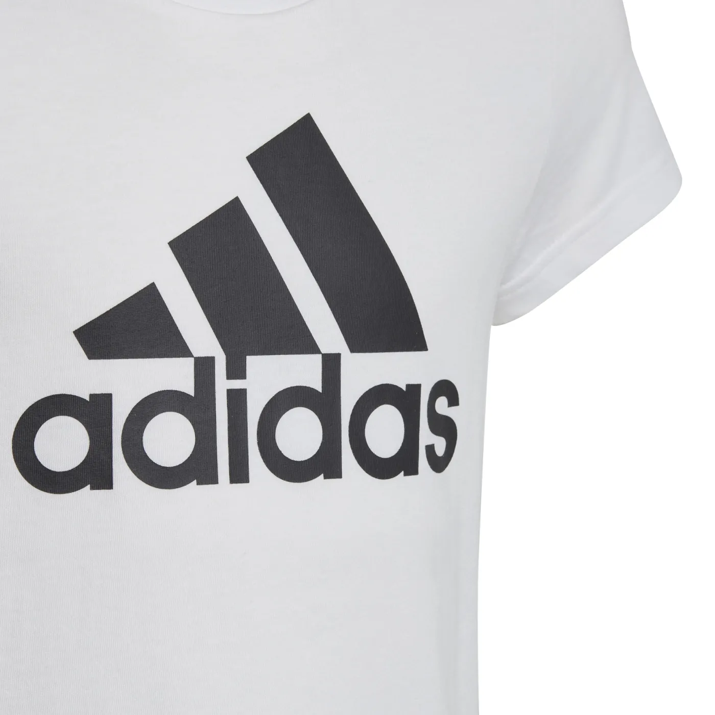 Essentials Big Logo Cotton T-Shirt