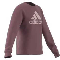 Essentials Big Logo Cotton Sweatshirt