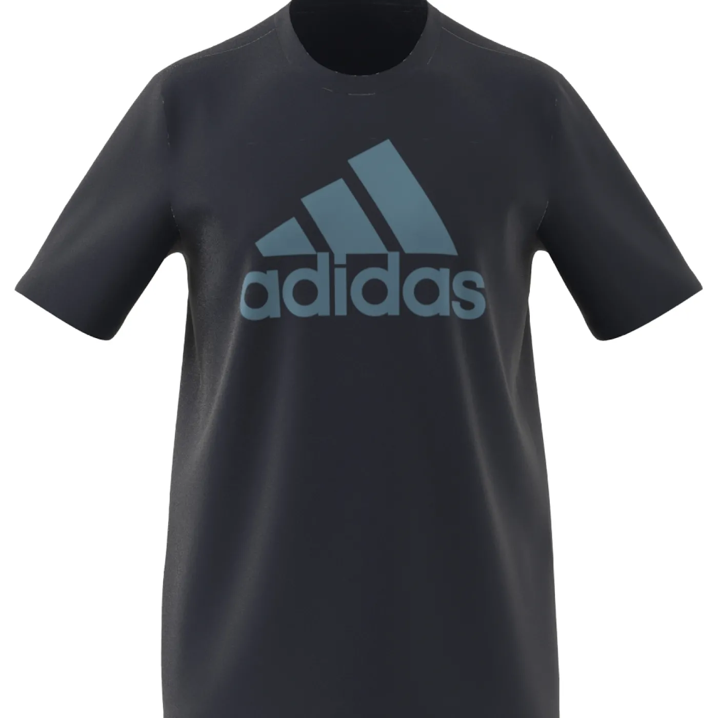 Essentials Single Jersey Big Logo T-Shirt