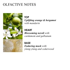 ORANGE & BERGAMOT HAND CREAM