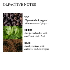 RE-CHARGE BLACK PEPPER BODY LOTION