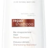 Repair Shampoo