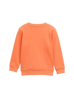 Sweatshirt mit Print