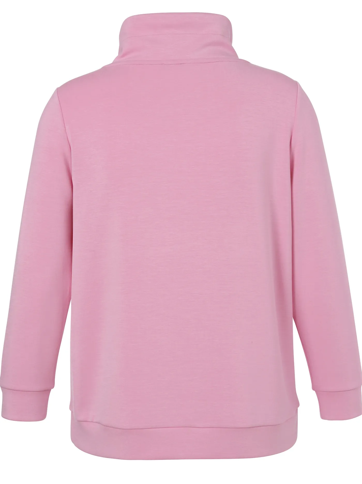 Sweatshirt mit Stehkragen